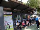 Cận cảnh nhà chờ xe buýt kiểu mới hiện đại ở Sài Gòn