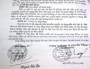 Nhà đất công ở Đà Nẵng liên quan đến Vũ 'nhôm' bây giờ ra sao?