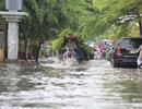 26.000 ha đất trồng lúa thành đất dịch vụ: Sài Gòn có thành công viên nước?