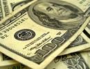 Tỷ giá ngoại tệ ngày 13/9: USD treo cao, thách thức tất cả