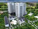 Hà Nội lên "dây cót" xử lý chủ đầu tư chây ỳ tiền sử dụng đất