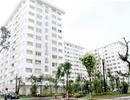 Đề xuất cơ chế riêng cho nhà ở thương mại giá rẻ
