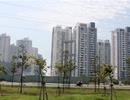 Ba điểm sáng trong bức tranh bất động sản giảm tốc