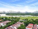 Nhà giàu bỏ chạy khỏi Nam Sài Gòn vì mùi thối tấn công