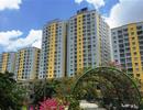 Đại gia đứng sau vụ cháy 13 người chết rút khỏi Carina Plaza