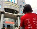 Truy nã chủ đầu tư dự án chung cư Gia Phú