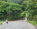 Những "bí mật" của Vũ "nhôm” ở bán đảo Sơn Trà đang dần hé lộ