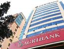 Agribank lãi trước thuế 3.796 tỷ đồng trong 6 tháng đầu năm, còn ôm hơn 20.000 tỷ đồng nợ xấu