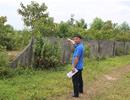 'Thương vụ' tiền tỉ trên 11,7ha đất rừng ở Hà Tĩnh