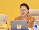 Chủ tịch Quốc hội: Giao đất không qua đấu thầu gây thất thoát lớn