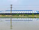 Một doanh nghiệp xây dựng không phép nhà xưởng hơn 10.000 m2 ở Long An