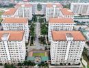 Vì sao nhà ở xã hội "dội chợ"?