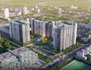 Người dân mòn mỏi chờ sổ hồng