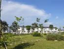 Giá đất tăng phi mã, nhà đầu tư đổ về Nhơn Trạch (Đồng Nai)