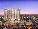Năm 2018 nguồn bất động sản TPHCM sụt giảm mạnh, nguyên nhân do đâu?