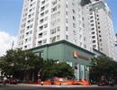 10 năm sống kiếp ‘3 không’, cư dân Danang Plaza lần đầu có ban quản trị