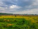 Ông Nguyễn Hữu Tín giao 32ha đất cho Công ty TNHH A Sung "bất thường"?