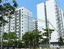 Đà Nẵng: Cưỡng chế các trường hợp vi phạm sử dụng chung cư của nhà nước