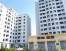 Trăm căn hộ tái định cư mới tinh biến thành "nhà ma" hoang phế giữa Hà Nội