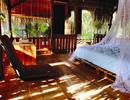 Homestay: dễ mở nhưng không dễ thu