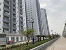 Nhà giá rẻ cũng cao gấp 8 - 9 lần thu nhập của người dân