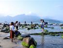 Đà Nẵng: Điều chỉnh dự án Khu du lịch sinh thái Nam Ô sao cho “thấu tình đạt lý”