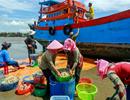 Ông Nguyễn Thiện Nhân: Sáp nhập Cần Giờ vào TP HCM là quyết định lịch sử Ông Nguyễn Thiện Nhân: Sáp nhập Cần Giờ vào TP HCM là quyết định lịch sử