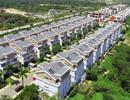 Bác thông tin người Trung Quốc mua nhà tăng đột biến