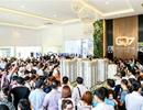 Cần giải pháp ứng xử phù hợp