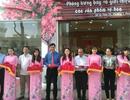 Ra mắt Phố chuyên doanh hoa Hồ Thị Kỷ