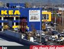 Vì sao phải mất tới 4 năm thăm dò, IKEA mới cân nhắc đầu tư 450 triệu USD vào Việt Nam?