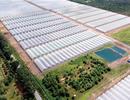 Người dân được tham gia, chia sẻ thành quả phát triển dọc bờ sông Sài Gòn