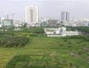 Dính lệnh thu hồi, dự án 'chết lâm sàng'