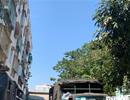 Danh sách chung cư hư hỏng nặng cần xây mới ở TP.HCM không có chung cư nghiêng