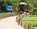 Khu nghỉ dưỡng 'chui' trong rừng phòng hộ