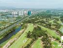 Bà Rịa - Vũng Tàu: Đấu giá 29 khu đất vàng ven biển dự kiến thu về hơn 7.000 tỷ đồng