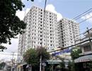 Miếng mồi béo bở Miếng mồi béo bở
