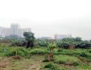 10 ngày đút túi hơn 1 tỷ đồng: Đại lộ Thăng Long, kỷ lục 10 năm lại nổ