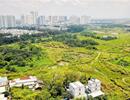 Thành phố Hồ Chí Minh: Cảnh báo "bẫy giá" đất nền