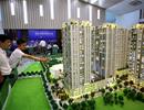 Doanh nghiệp bất động sản 'bỏ phố về quê'