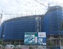 ‘Ông lớn’ Vũng Tàu bị xử phạt và truy thu hơn 13 tỷ