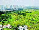 Bất động sản TP HCM sẽ "thông" trở lại?