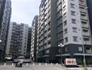Vào ban quản trị chung cư để trục lợi