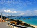 Bị tố nhận “đặc cọc thiện chí”, chi nhánh chưa phép: Hải Phát Land nói gì?