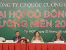 Chủ tịch Quốc Cường Gia Lai: Rất nản vì tình trạng con gà – quả trứng khi làm bất động sản