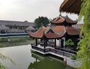 Long Biên: Hàng nghìn m2 đất được cho thuê với giá chưa bằng mớ rau
