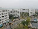 Hà Nội duyệt xây khu nhà ở xã hội gần 40ha ở Đông Anh