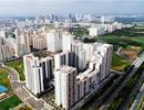 Người dân được tham gia đấu giá từng căn trong quỹ nhà tái định cư bị tồn kho