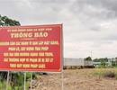 "Cò" hét giá đất Biên Hòa lên tận nóc