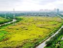 Khốn khổ vì 2 chữ "đất ở": Kiến nghị 3 giải pháp xử lý